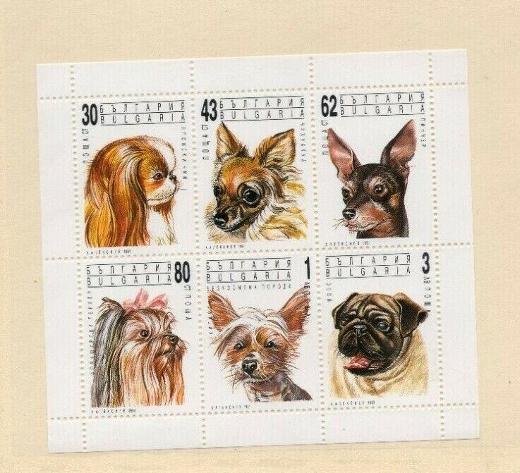 Bulgaria 3640a Mnh  Dogs  Chihuahua  Pug  Chinese  Yorkie  Japanese Pinscher