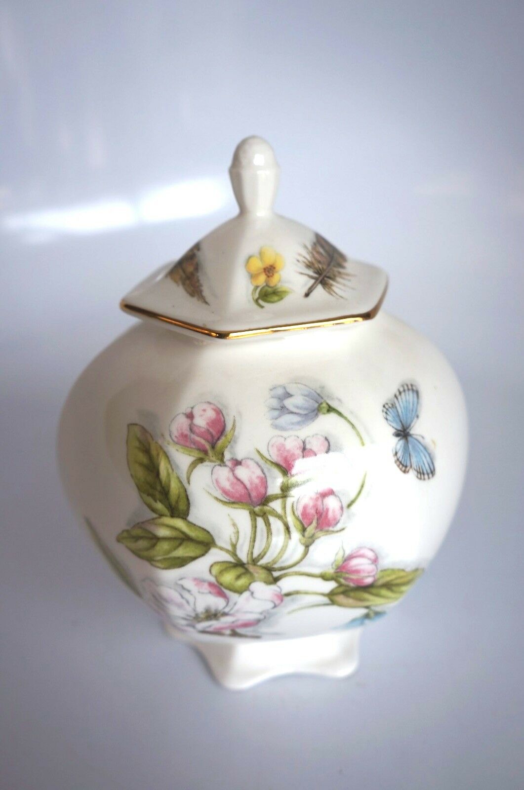 Aynsley "nature's Delight" Small Jar With Lid