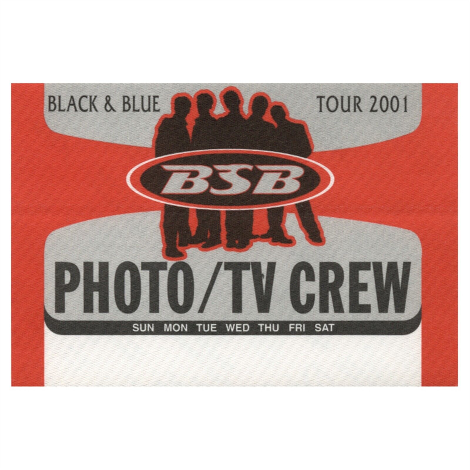 Backstreet Boys 2001 Black & Blue Concert Tour Photo Backstage Pass